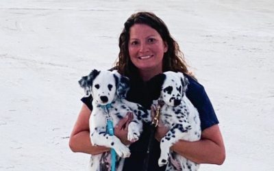 12 Days of Breeders – #7 – Jessica Harris of Missouri Dalmatians