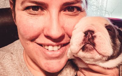 12 Days of Breeders – 09 – Lory Mitchell of Star Studded Bulldogs