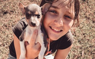 #120 – Puppy Buyers Are Changing – How Dog Breeders Can Adapt