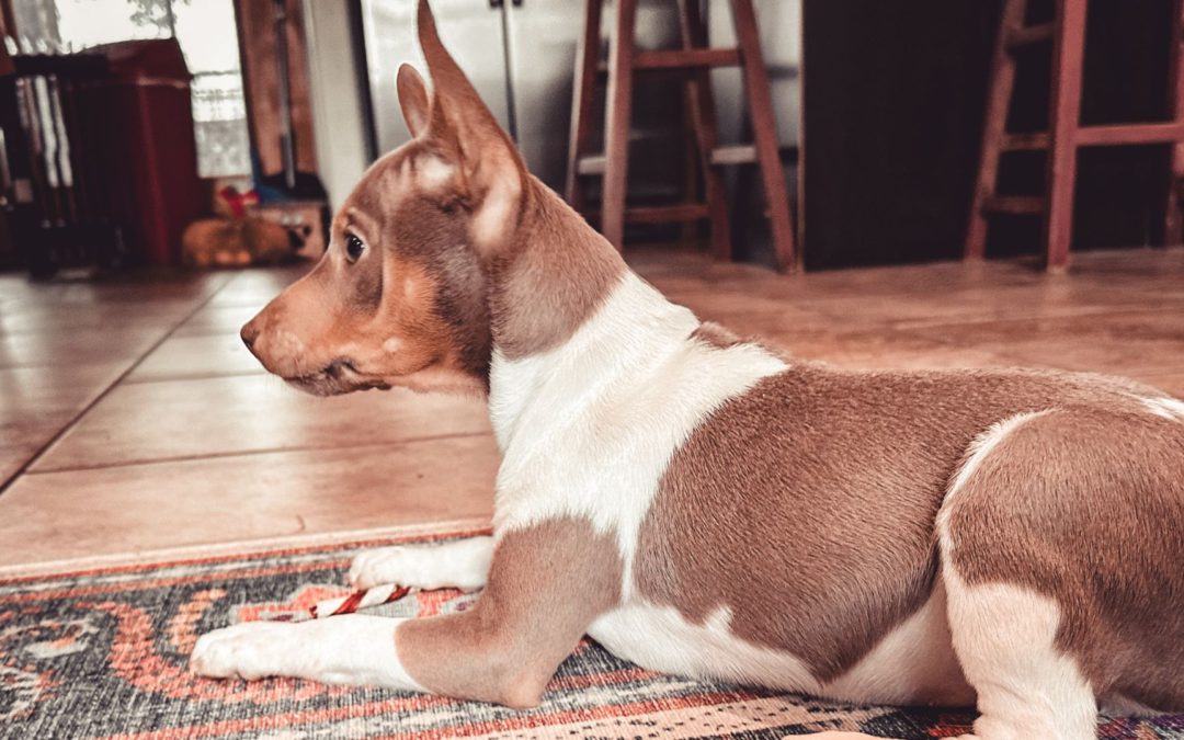 #124 – The Small Hack to Pivot You From Survival Mode to Growth Mode