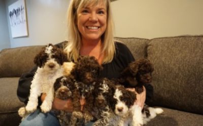 12 Days of Breeders – 1 – Kim McGuirk of NewBliss Chicago Lagotto