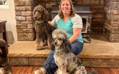 12 Days of Breeders – 11 – Andrea Gardner of Desert Sky Poodles