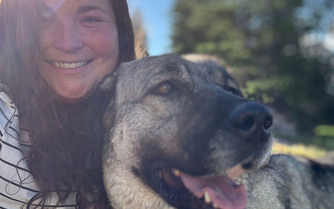 12 Days of Breeders – 3 – Natalie Thurman of Apex Anatolians