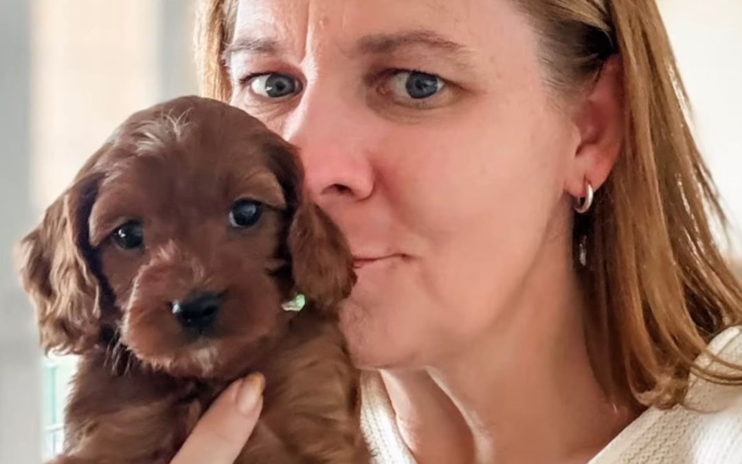 12 Days of Breeders – 4 – Kari Roach of Chocie Paws