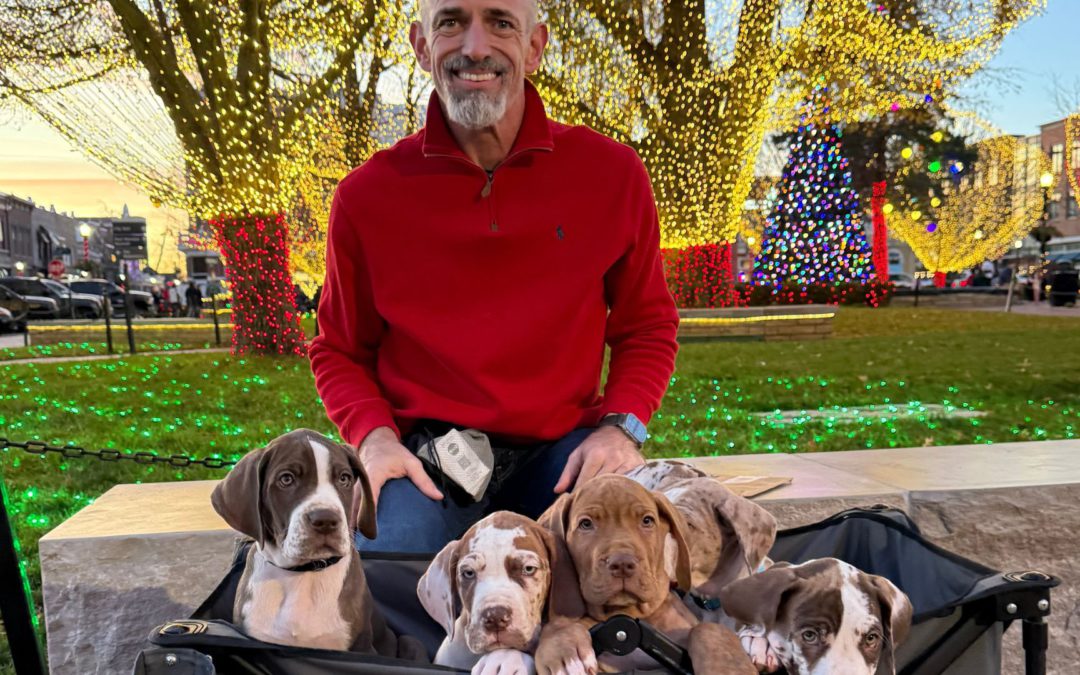 12 Days of Breeders – 6 – Bill Wyatt of DubDub Danes