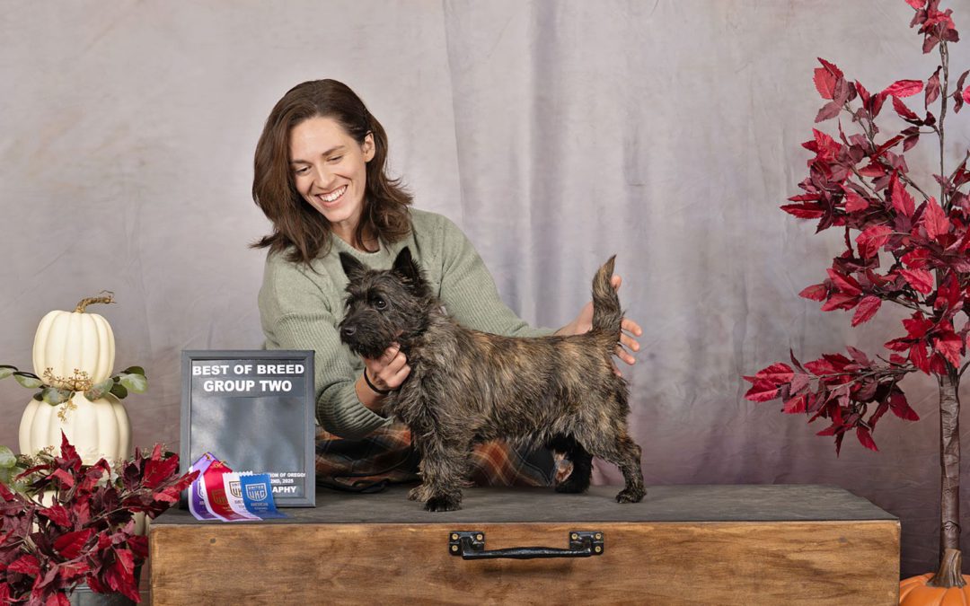 12 Days of Breeders – 9 – Leilani Nichols of Northwest Cairn Terriers
