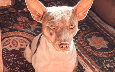 #127 – Setting Up Your Year for Success