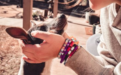 #130 – The Breeder You Need to Stop Being