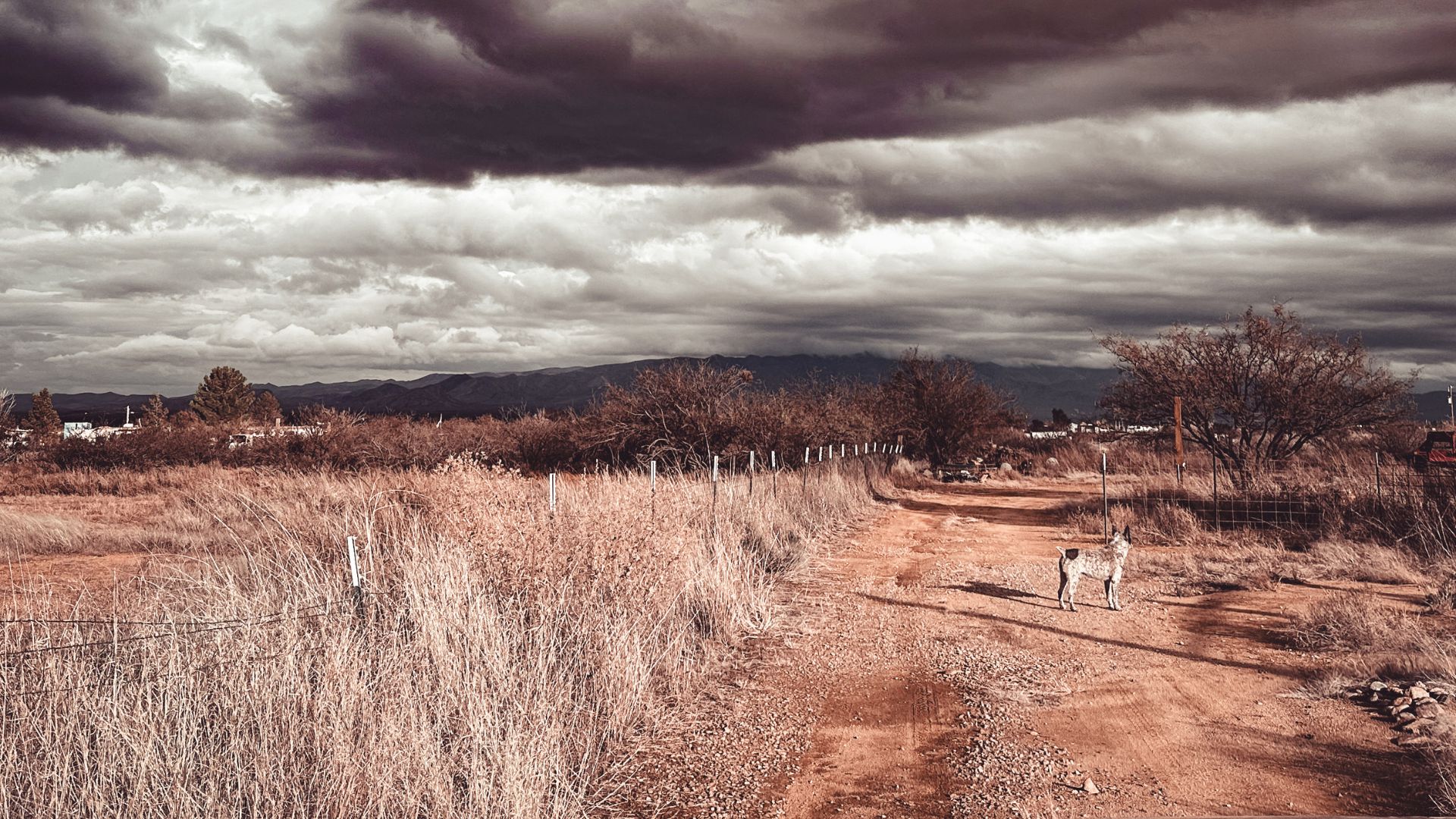 #132 – Purposeful Chaos in Your Breeding Program